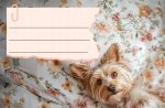 Етикети за тетрадка Street Animals Cute, опаковка 10 бр. - Image 5