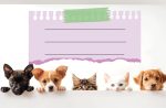 Етикети за тетрадка Street Animals Cute, опаковка 10 бр. - Image 8