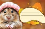 Етикети за тетрадка Street Animals Cute, опаковка 10 бр. - Image 10