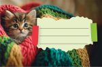 Етикети за тетрадка Street Animals Cute, опаковка 10 бр. - Image 11