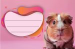 Етикети за тетрадка Street Animals Cute, опаковка 10 бр. - Image 3