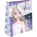 Подаръчна торбичка License M,  Frozen