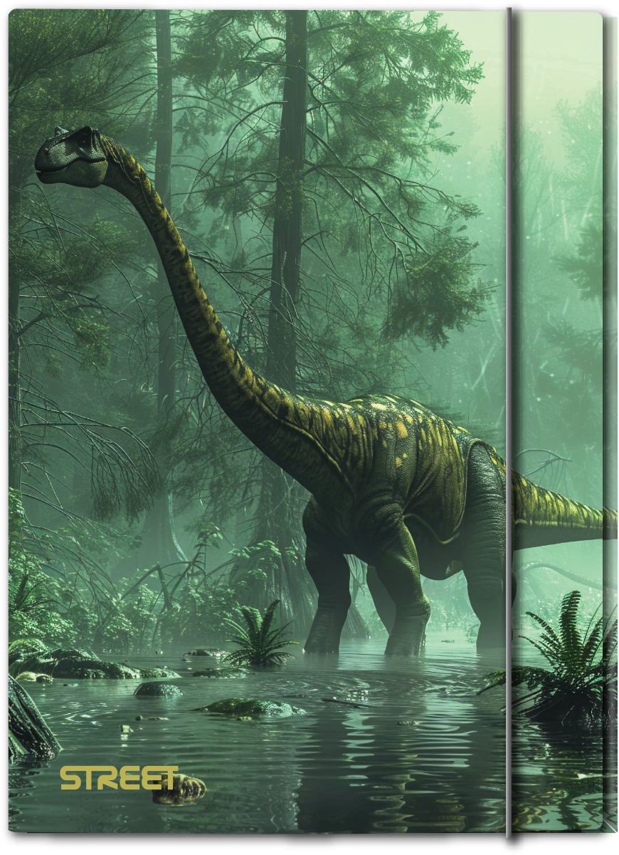 65635a_1_2 Папка с ластик Street Dino A4, 1 cm - Image 1