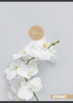 Тетрадка Street, А4, квадратчета, 54листа, flowers - Image 5