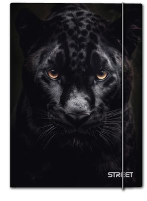 Папка с ластик Street Africa A4, 1 cm - Image 2
