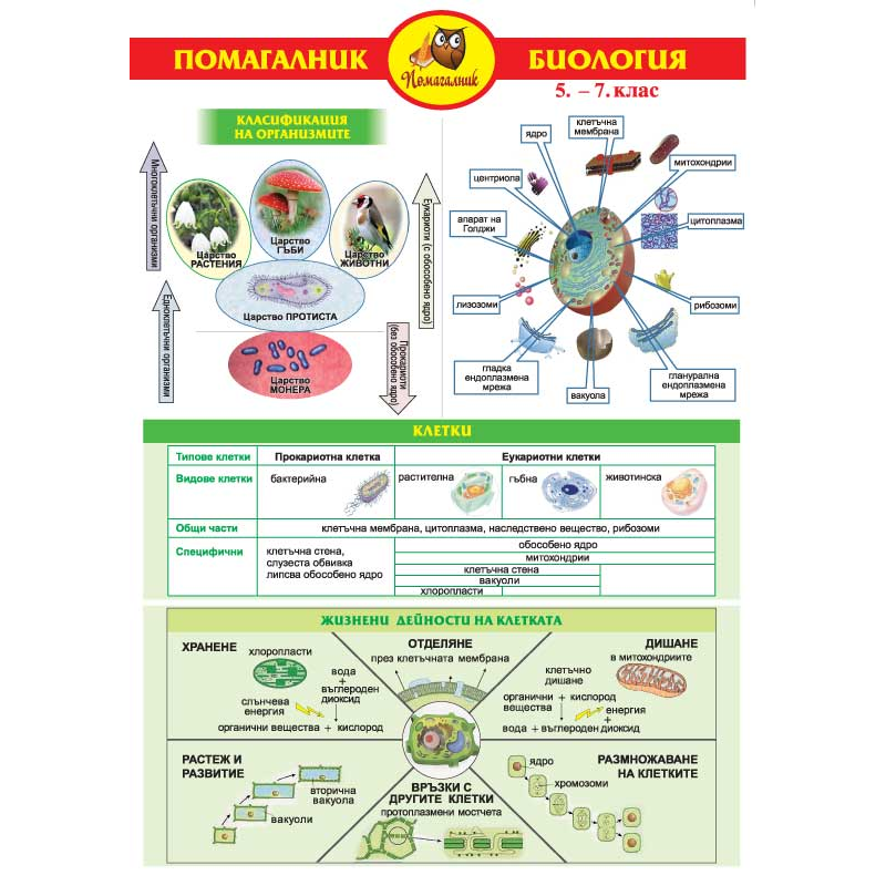 biologiya-5-7-klas Учебни помагала А3, биология 5 кл -7кл - Image 1