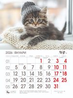 Стенен календар 8-листов, котета - Image 2